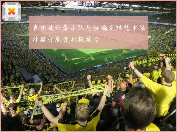鲁媒建议泰山队尽快确定理想中场外援并展开积极接洽