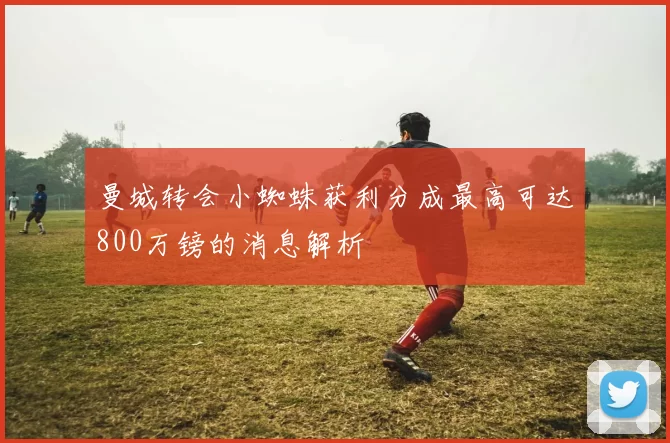 曼城转会小蜘蛛获利分成最高可达800万镑的消息解析