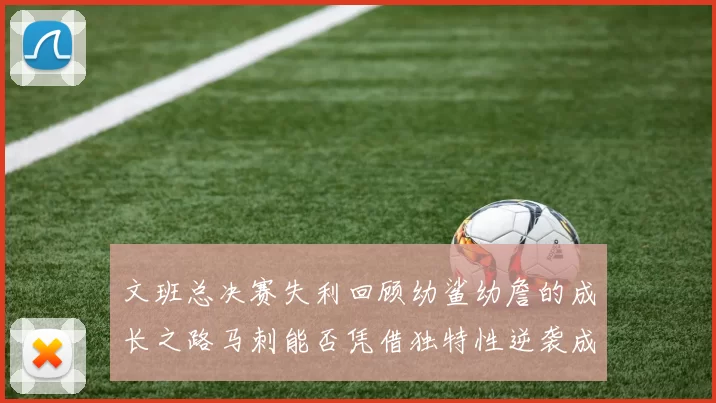 文班总决赛失利回顾幼鲨幼詹的成长之路马刺能否凭借独特性逆袭成功
